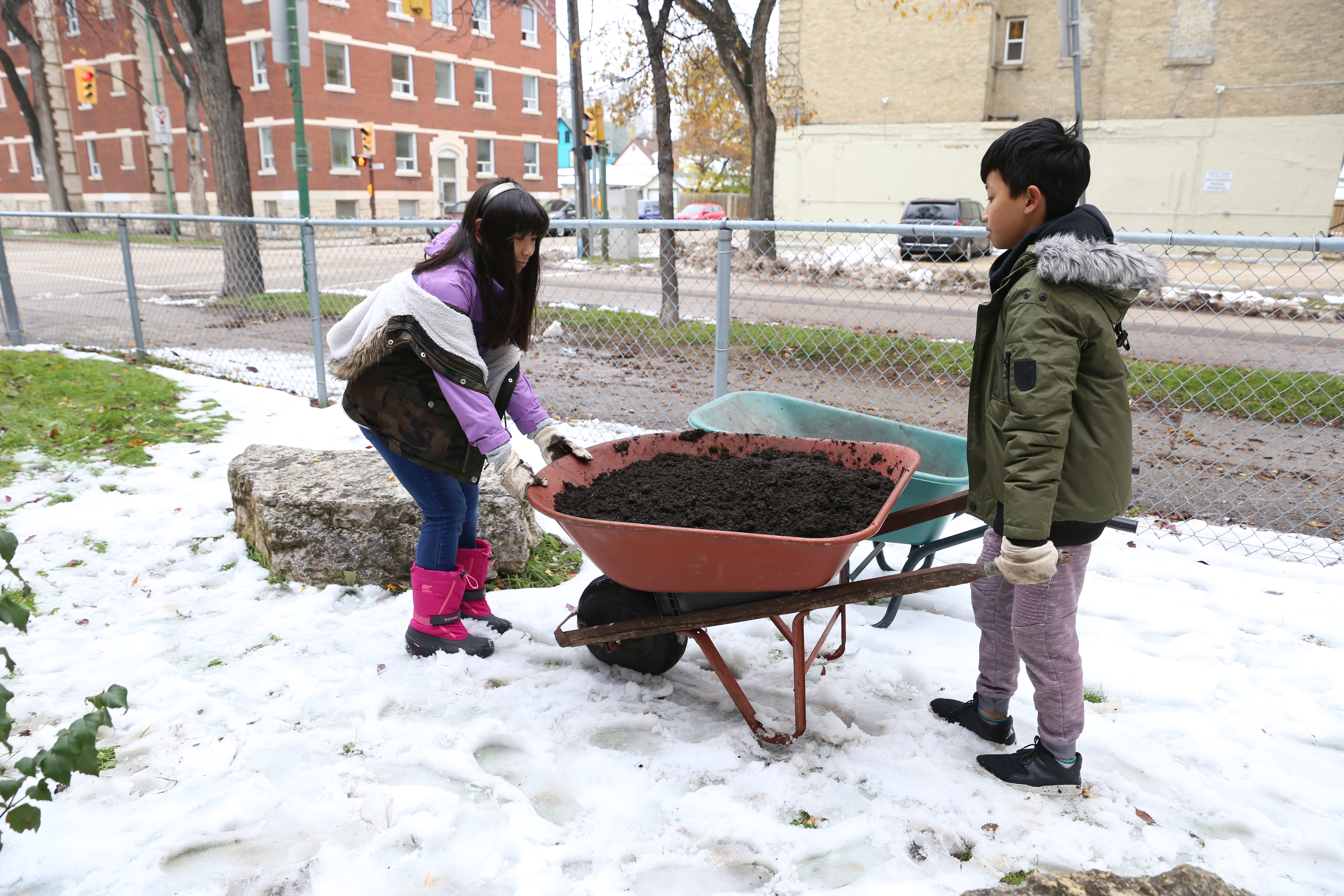 Wellington Tree Project 002.jpg